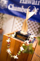 HICC Athena Awards 1-13-14